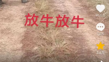 云南一男子“在线养犀牛”走红：喂牛还要“遛牛” 不对外开放