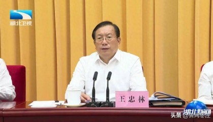 湖北省委书记王忠林:严查贪污侵占、截留挪用、虚报冒领、吃拿卡要等腐败问题