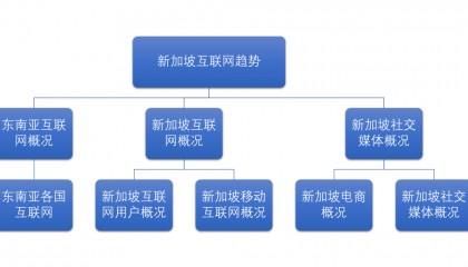 《新加坡互联网用户洞察》:社交媒体如何重新定义购买体验?