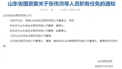 山东又组建一家新国企，董事会成员确定