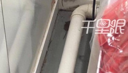 网曝蜜雪冰城一门店有多只老鼠横行，涉事门店员工回应