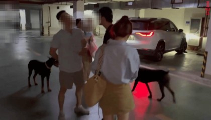 小区车库俩杜宾犬没拴绳引争吵:路人要打死,狗主人反呛咬你了吗