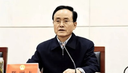 张洪水,被查
