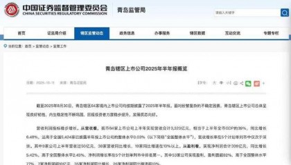 3323亿营收、1065亿海外收入!青岛上市公司的进击之路