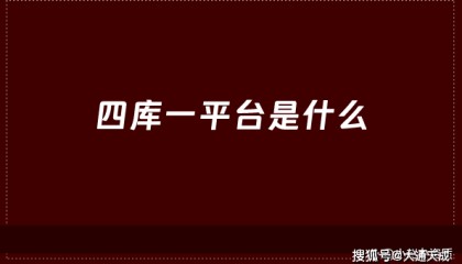 四库一平台是什么?查询网站是什么?