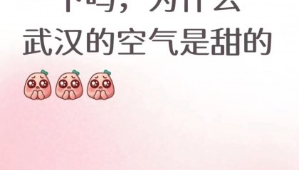 满城都是甜甜的！不要捡，不要吃！