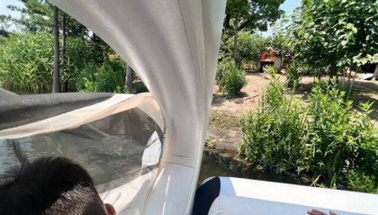 码头无人值守，上海一游客自行上岸踩空落水！律师：商家有缺陷、游客有疏忽