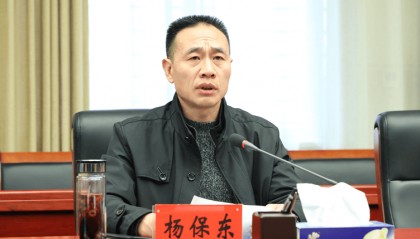 杨保东，主动投案