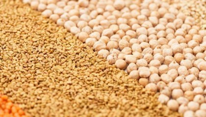 玉米随美元升值而升值,并对大豆产生影响