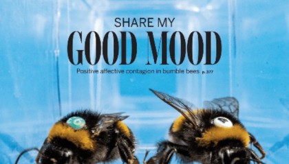 人类如何“读懂”大黄蜂的“感同身受”?