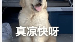 醒来“天塌了”！深圳一女子眼睛闭不上、嘴巴漏水！这些错误很多人会犯