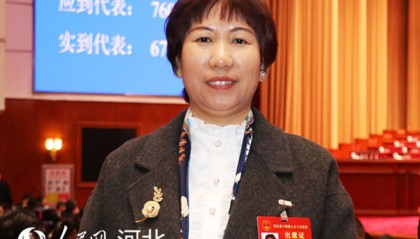 杨辉素代表:集中供热 解决农村群众冬日取暖问题