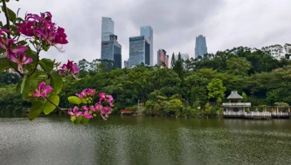 8.7℃冻哭!霜降广西现下半年最冷早晨,回暖时间→