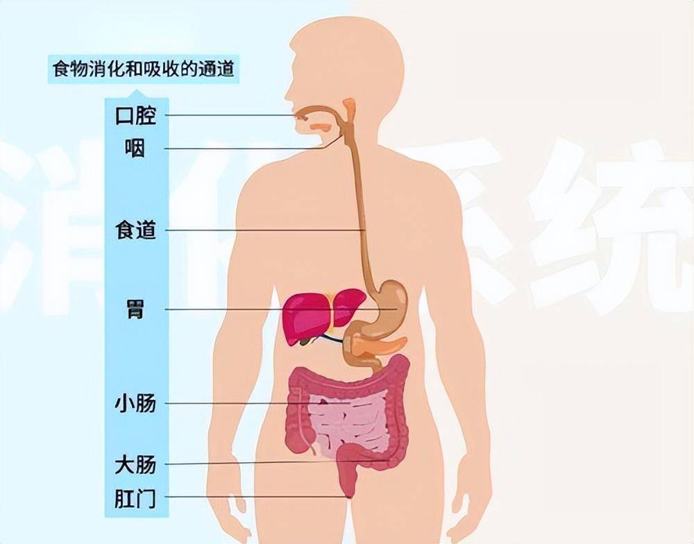 纪实：中国每天产生240万吨的排泄物，都排放到哪里去了，如何处理？