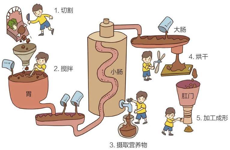 纪实：中国每天产生240万吨的排泄物，都排放到哪里去了，如何处理？